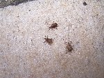 100_0801.JPG