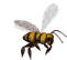 abeille7.gif