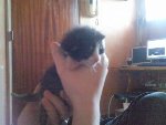 Photo0389.jpg