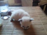 Photo0400.jpg
