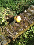 IMG_20240928_144943.png