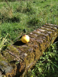 IMG_20240928_144928.png