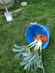 IMG_20241003_145956.png