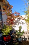 Compress_20241004_110723_3395.jpg