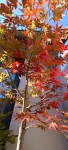 Compress_20241004_110722_2722.jpg