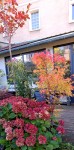 Compress_20241004_110721_1934.jpg