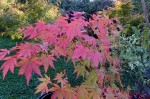 Compress_20241004_110721_1170.jpg