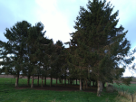 IMG_20211021_092801 - Copie.png