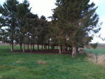 IMG_20211021_092807 - Copie.png