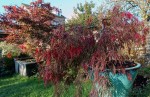 Compress_20241011_113822_2030.jpg