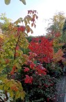 Compress_20241011_113819_9159.jpg