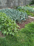 IMG_20241013_130831.png