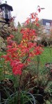 Compress_20241020_192952_2952.jpg