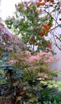 Compress_20241020_192946_6838.jpg