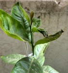 0b183819-694a-4870-8d6a-545ffd84e400.jpeg