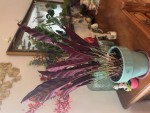 IMG_4382.jpeg