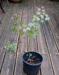 Compress_20241103_194805_5963.jpg