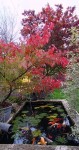 Compress_20241020_192955_5355.jpg