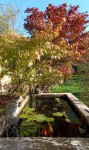 Compress_20241004_110724_4315.jpg