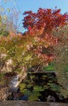 Compress_20241011_113818_8520.jpg