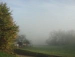 B7957121-C7E1-4F64-88F5-F33DDEA22CC0.jpeg