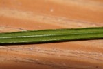 DSC01753.JPG