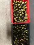 IMG_1836.jpeg
