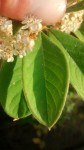 20160604-191114.jpg