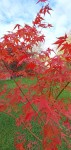 Compress_20241114_141125_5392.jpg