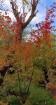 Compress_20241114_143642_2382.jpg