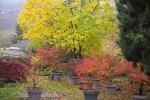 20 nov 2024.jpg