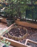 IMG_20241201_114621.jpg