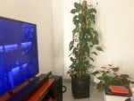 rps20241206_221440.jpg