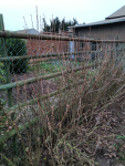 IMG_20241211_112728.png