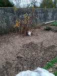 IMG_20241211_112856.png