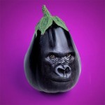 Aubergine.jpg