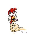 coup d'poulet.jpg