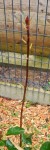 photo 2.jpg