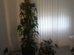 rps20250110_112842.jpg
