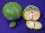 sapote blanche pulpe.jpg