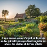 jardin.jpg