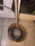 IMG_20250129_213051.jpg