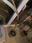 IMG_20250129_213100.jpg