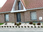 parterre face avec plantes.jpg