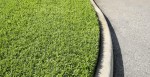 grass.jpg