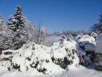 9CD66434-ED7D-47E5-BAEF-0D28800B7967.jpeg