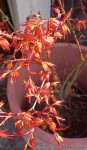 Compress_20250307_102640_0950.jpg