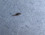 IMG_8382.jpeg