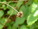 P1030028.JPG