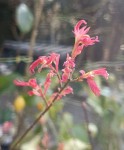 Compress_20250314_104815_5458.jpg